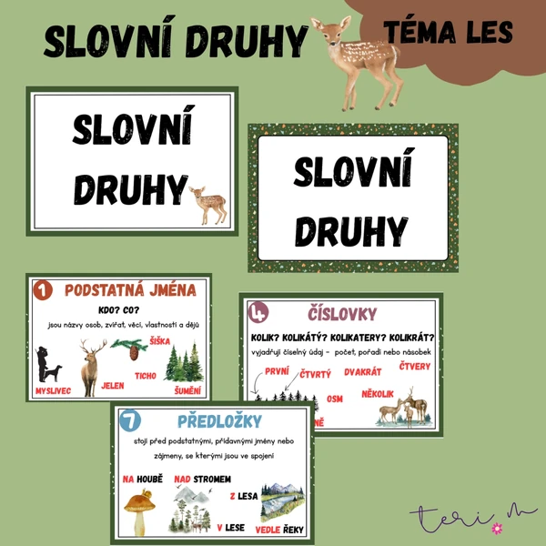 SLOVNÍ DRUHY - téma LES