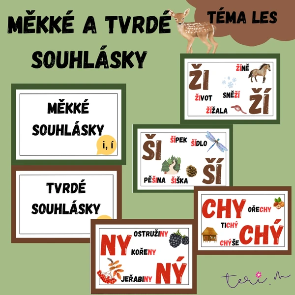 MĚKKÉ A TVRDÉ SOUHLÁSKY - téma LES