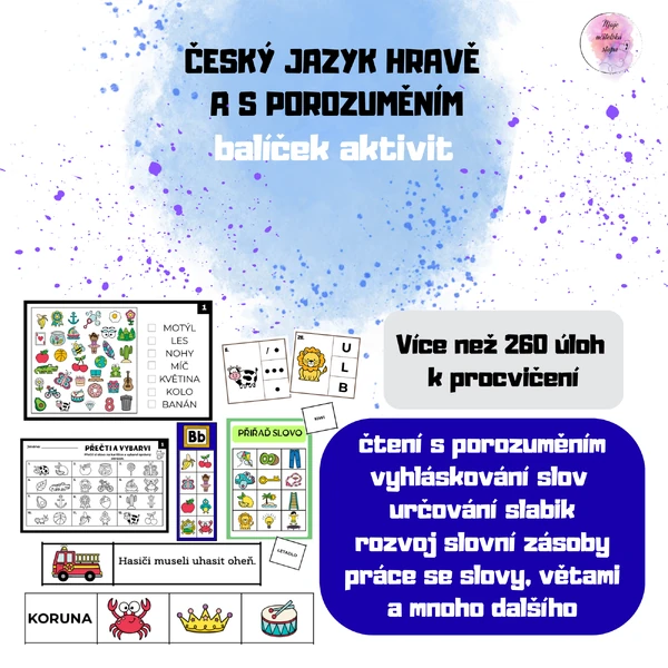 Český jazyk hravě a s porozuměním