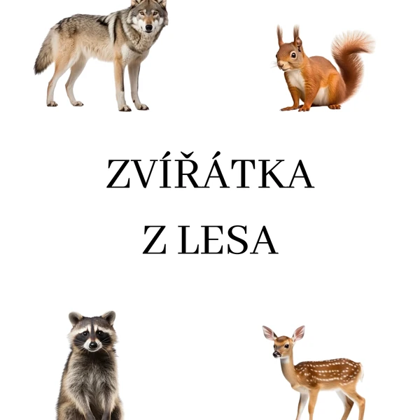 Lesní zvířátka 1