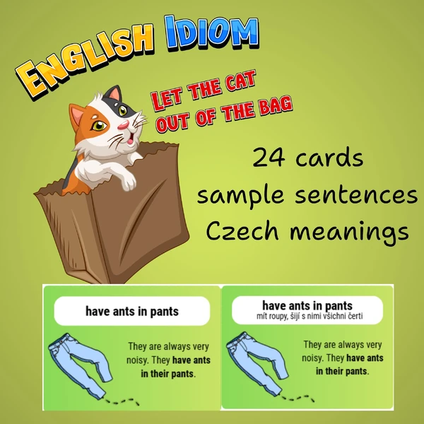 English idioms (cards)