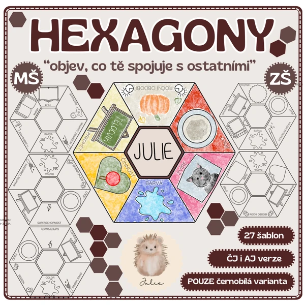 TŘÍDNÍ HEXAGONOVÁ MOZAIKA 