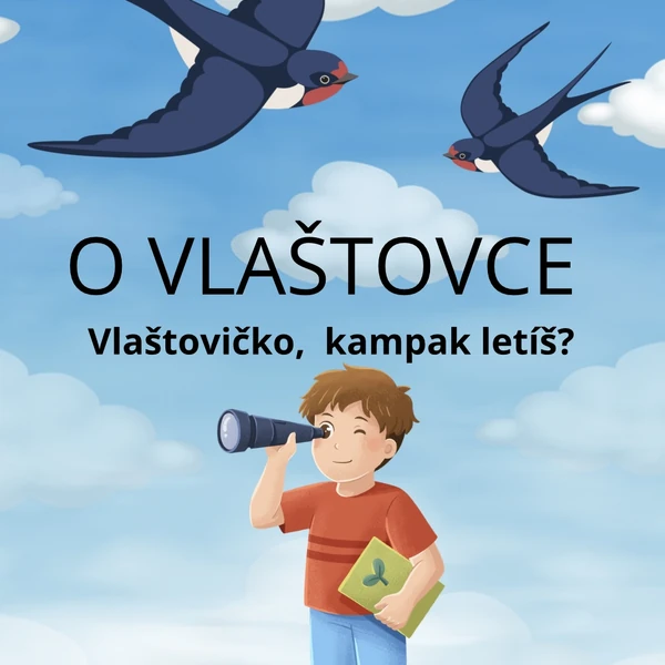 O vlaštovce 