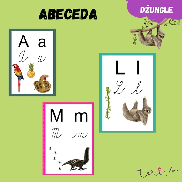 ABECEDA - téma DŽUNGLE