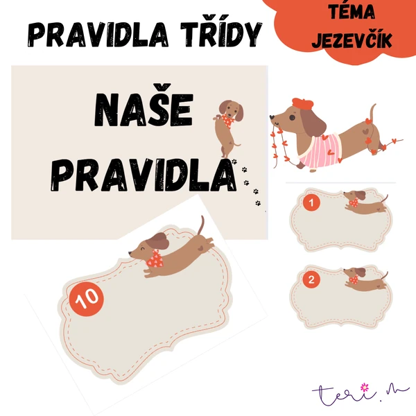 TŘÍDNÍ PRAVIDLA - téma JEZEVČÍK