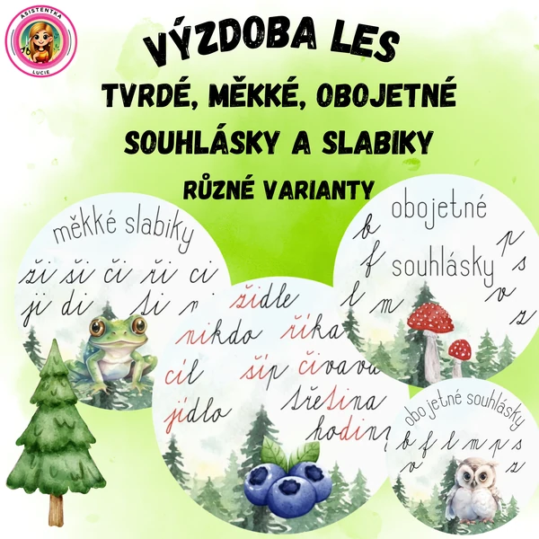 Výzdoba třídy - tvrdé, měkké, obojetné souhlásky a slabiky
