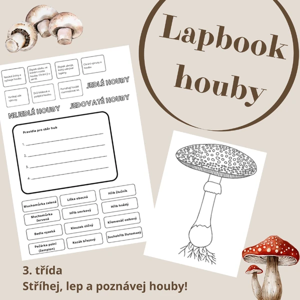 Lapbook houby
