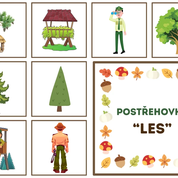Postřehovka - LES