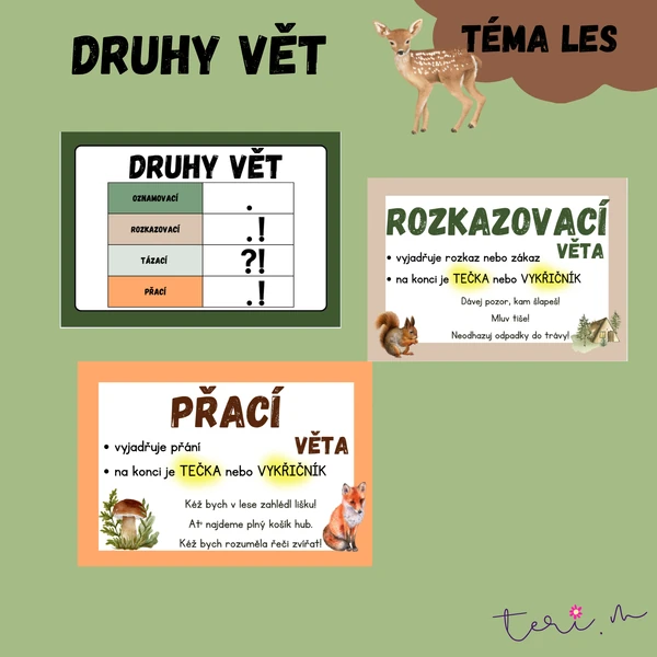 DRUHY VĚT - téma LES