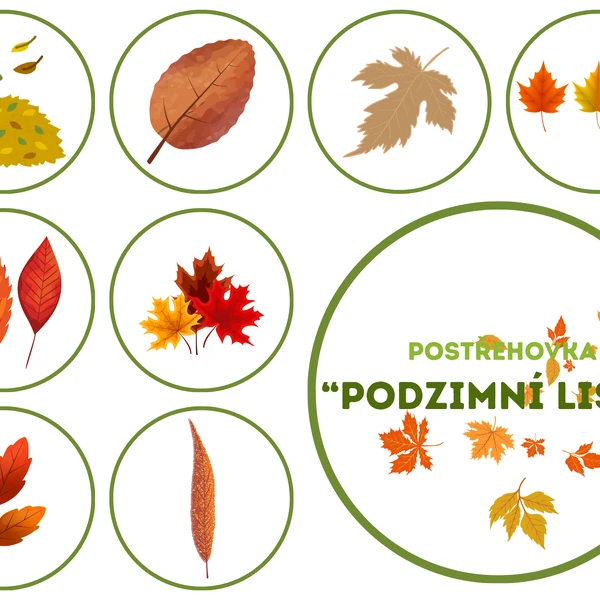 Postřehovka - PODZIMNÍ LISTY
