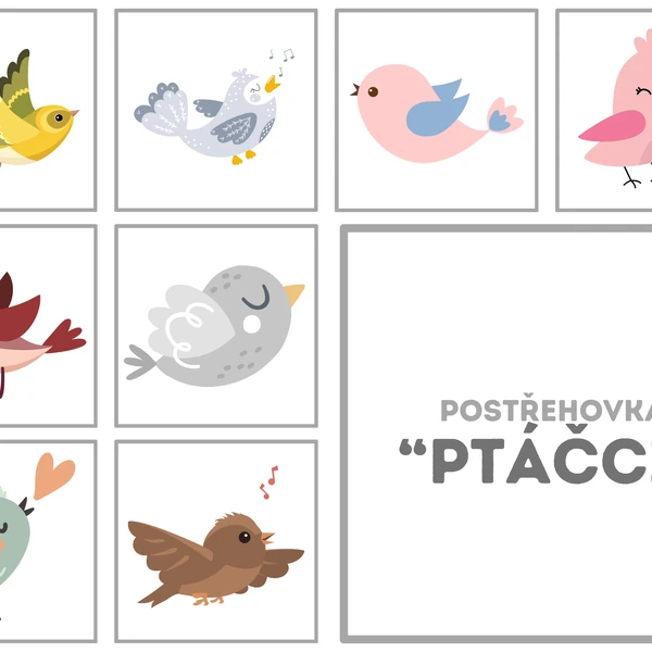 Postřehovka - PTÁČCI