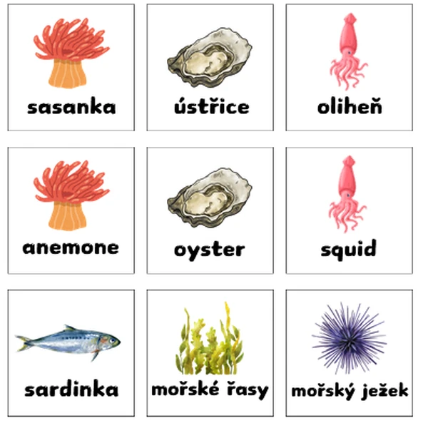 Pexeso - Mořský svět