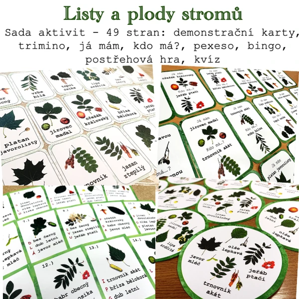 Velká sada aktivit - Listy a plody stromů