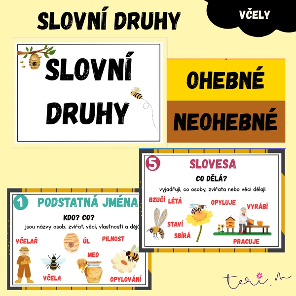 SLOVNÍ DRUHY - téma VČELY