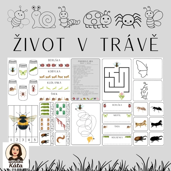 ŽIVOT V TRÁVĚ - AKTIVITY