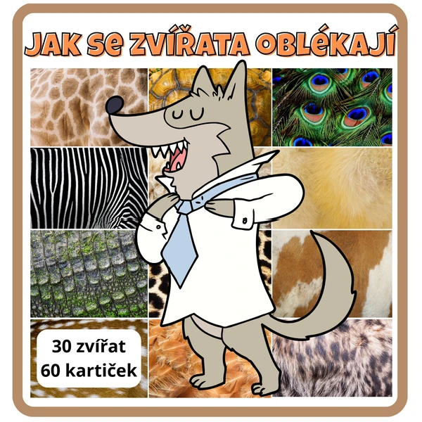Jak se zvířata oblékají? 🐻🐈‍⬛
