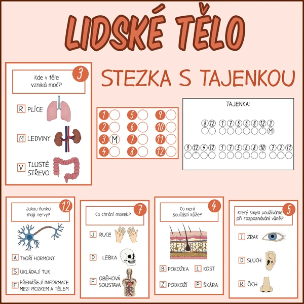 Lidské tělo - Stezka s tajenkou