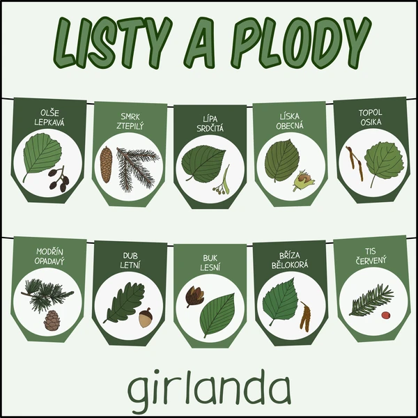 Listy a plody stromů - Girlanda
