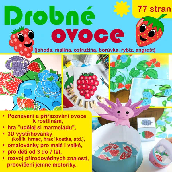 Poznáváme drobné ovoce - vystřihovánky 2D i 3D, omalovánky, didaktické hry