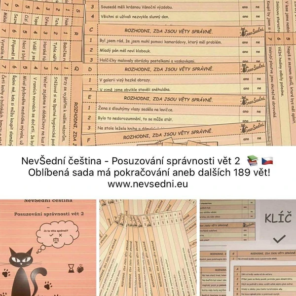 NevŠední čeština - Posuzování správnosti vět 2 