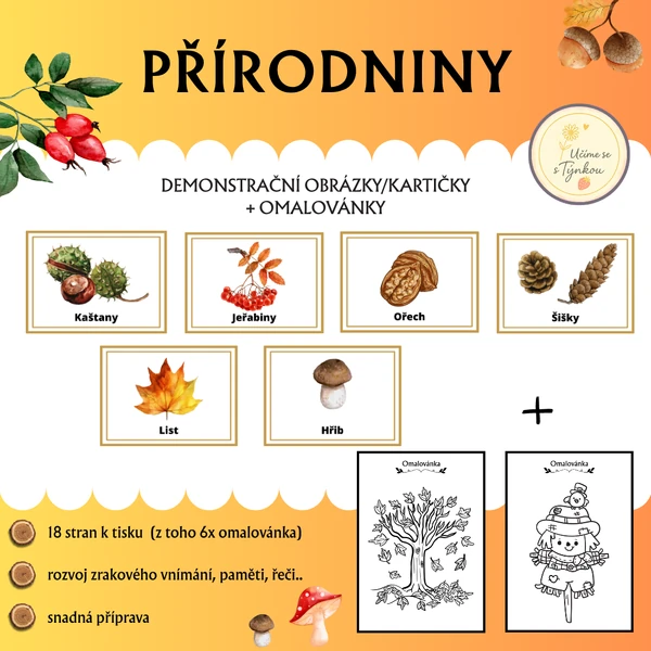 Přírodniny - demonstrační obrázky/kartičky