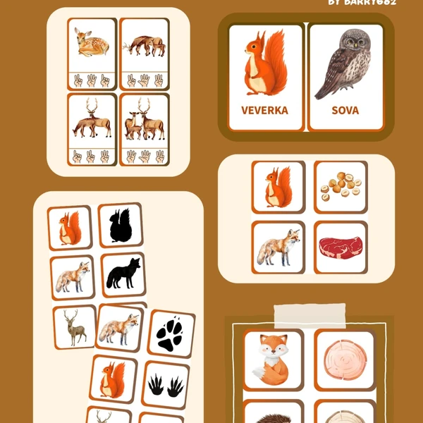 Zvířátka v lese 🐿🦌