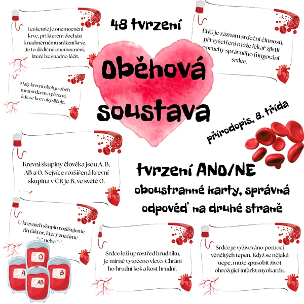 Oběhová soustava - tvrzení (ANO/NE)
