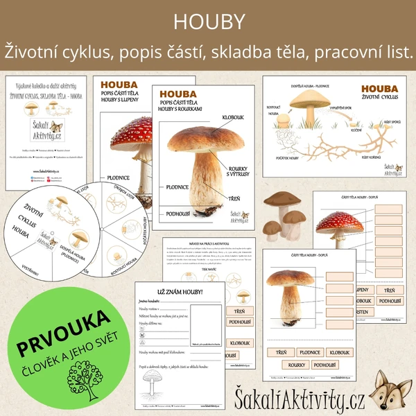  HOUBY - výukové kolečko, životní cyklus, popis částí 