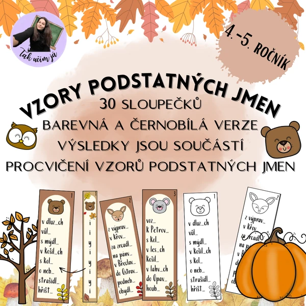 Vzory podstatných jmen