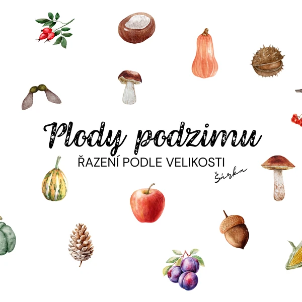 PLODY PODZIMU - řazení podle velikosti