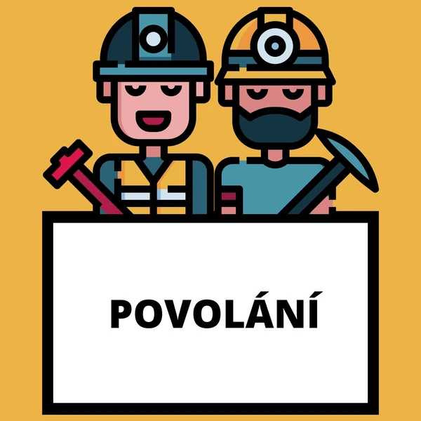 Povolání - soubor aktivit