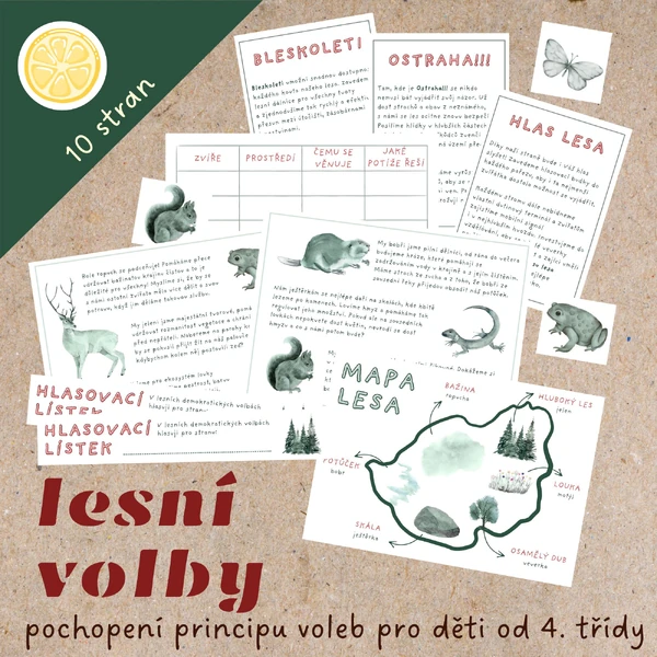 Lesní volby