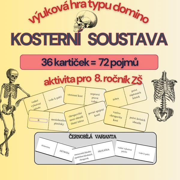 Domino- opakování tématu Kosterní soustavy, barevná i černobílá verze