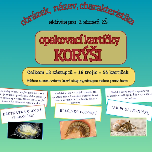Výukové kartičky KORÝŠI 