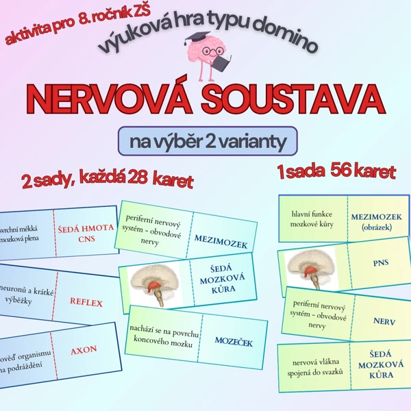 výuková hra typu domino NERVOVÁ SOUSTAVA