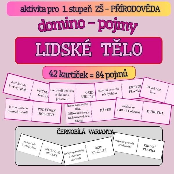 Domino - LIDSKÉ TĚLO přírodověda - barevná i černobílá verze