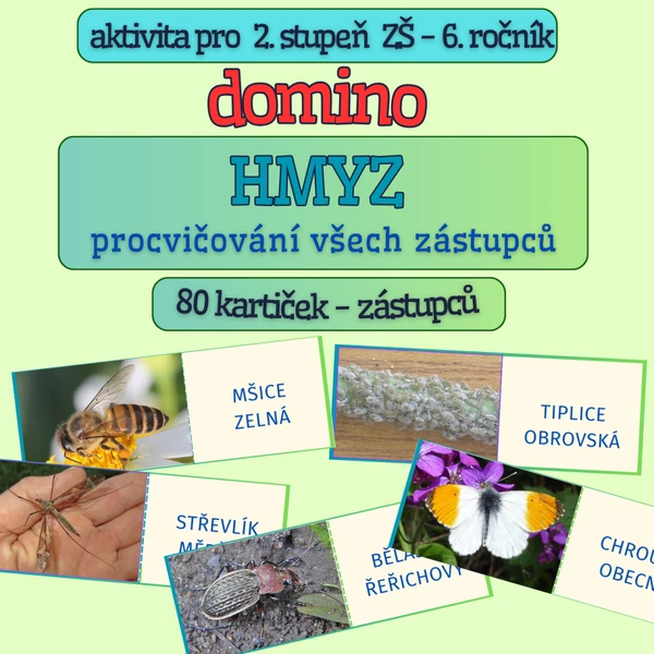 Domino - HMYZ (včetně motýlů brouků)
