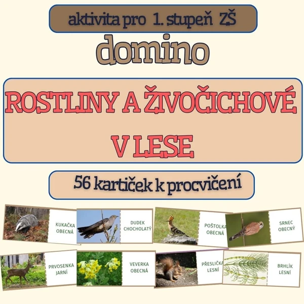 DOMINO - ROSTLINY A ŽIVOČICHOVÉ v lese