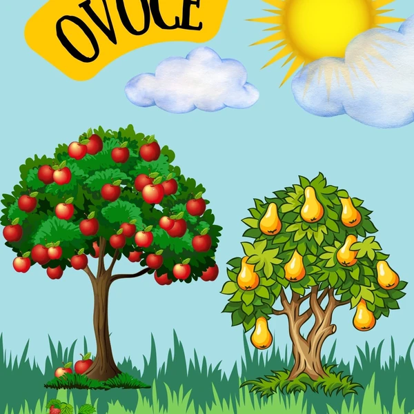 Ovoce