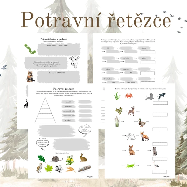 Potravní řetězce