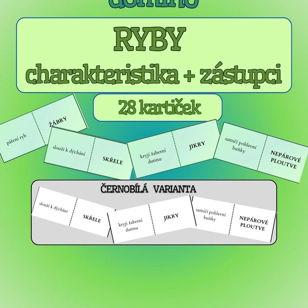Domino RYBY - charakteristika + zástupci -barevná i černobílá verze