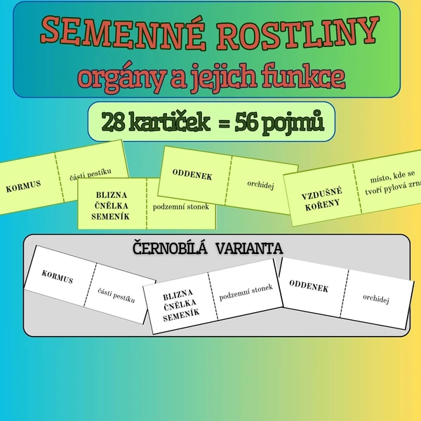 Domino SEMENNÉ ROSTLINY - orgány a jejich funkce - barevná i černobílá verze