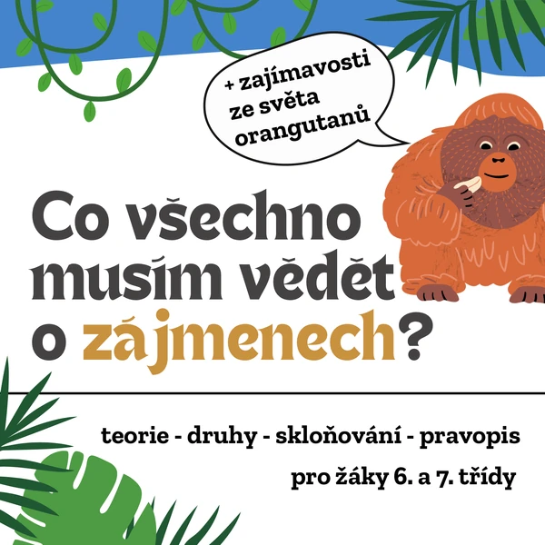 Co všechno musím vědět o zájmenech?