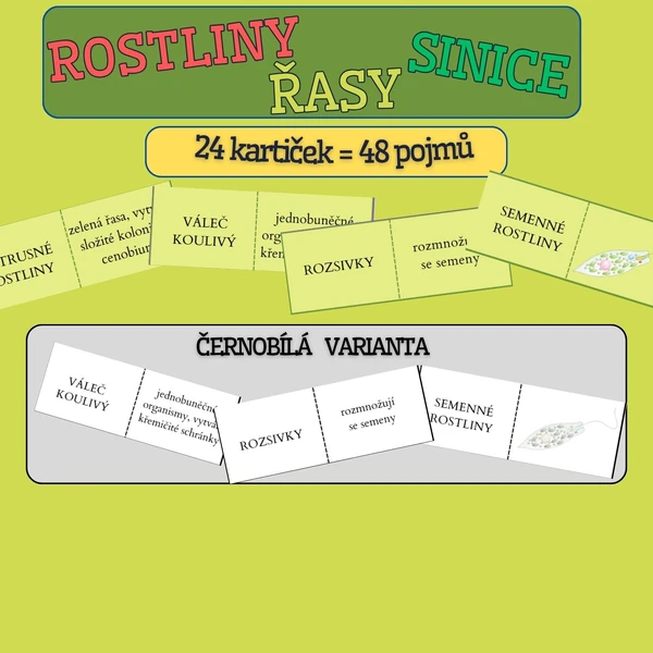 Domino ROSTLINY, ŘASY, SINICE - opakování - barevná i čb verze