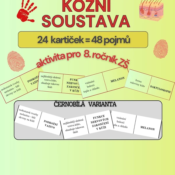 Domino KOŽNÍ SOUSTAVA - barevná i černobílá verze
