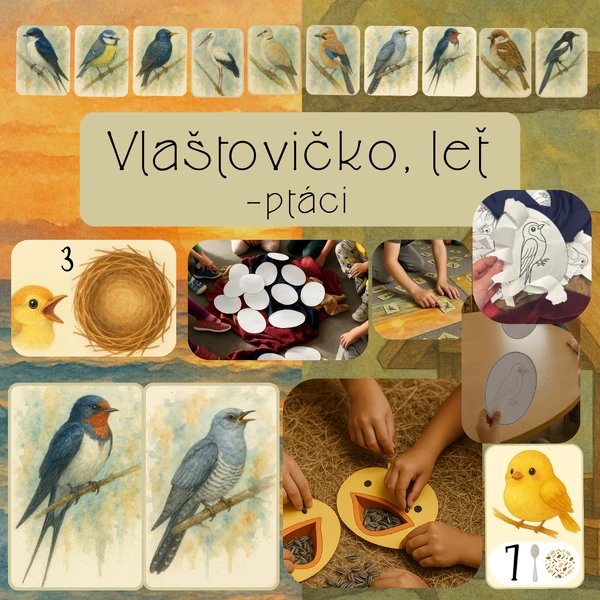 Vlaštovičko, leť - ptáci 