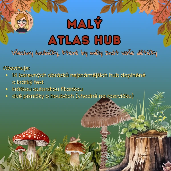 Malý atlas hub 
