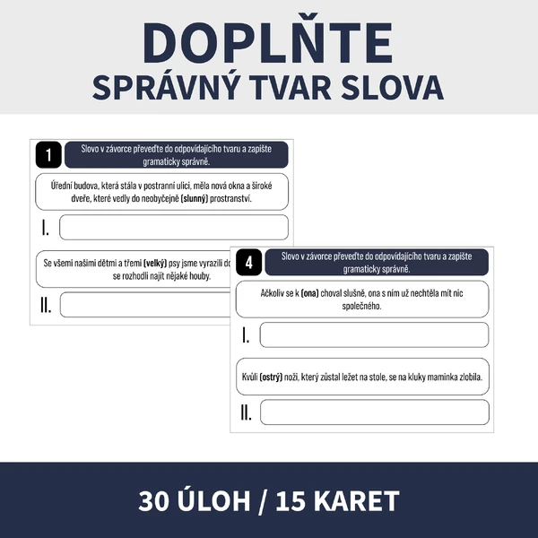 DOPLŇ SPRÁVNÝ TVAR SLOVA (přijímačková úloha)