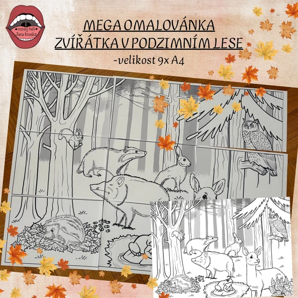 MEGA OMALOVÁNKA: ZVÍŘÁTKA V PODZIMNÍM LESE