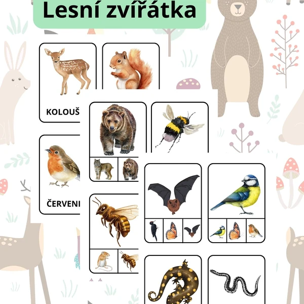 Lesní zvířátka - demonstrační karty, kolíčkování
